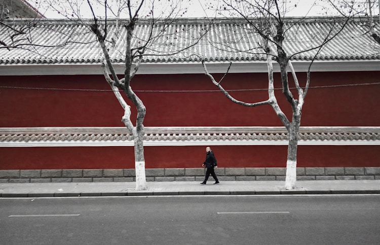去青岛旅游的景点,去青岛旅游城市有哪些插图2