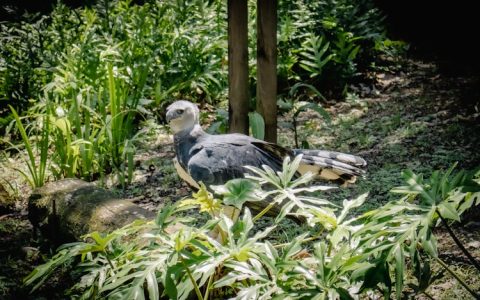 g20峰会旅游攻略,g20峰会会址门票