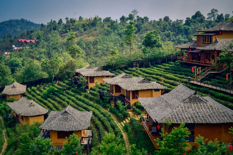 泰国旅游遇难2019,泰国旅游受伤事件插图2
