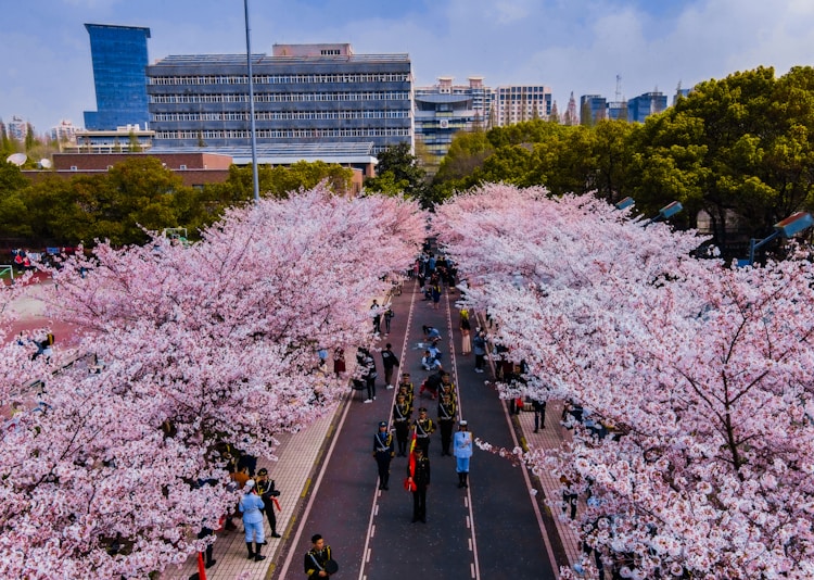 秋季赤峰旅游景点大全,赤峰一日秋天游最佳景点插图2