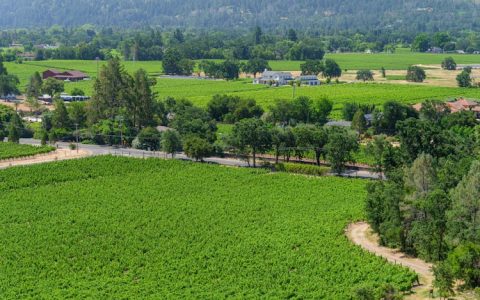 乡村旅游文案开发怎么写,乡村旅游软文