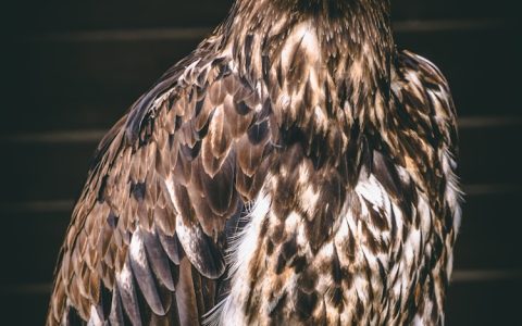 霍克 中办,霍克国家旅游局