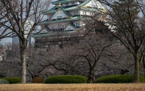 去日本旅游说英语可以吗,去日本旅游讲中文还是英语