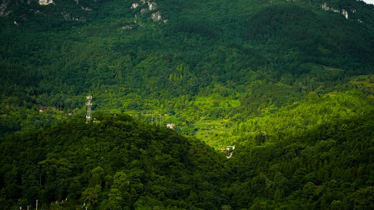 魏县游玩,魏县旅游景区介绍插图