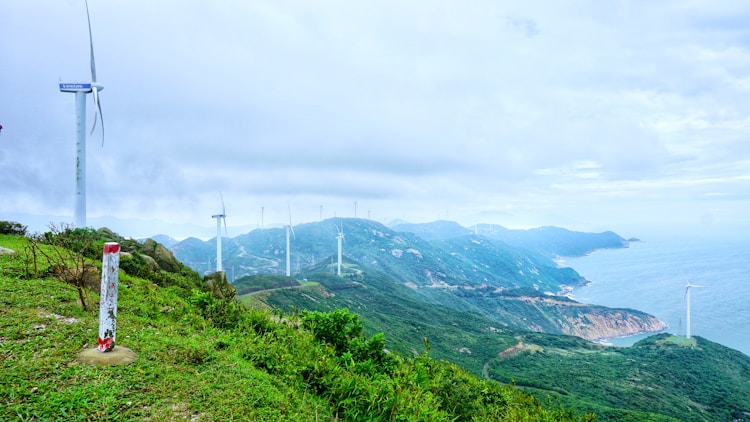 泰山旅游心得体会300字,泰山旅游心得体会范文插图