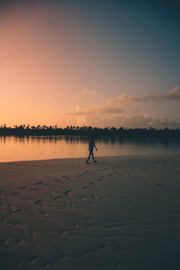 宁夏沙湖景区简介,宁夏沙湖插图2