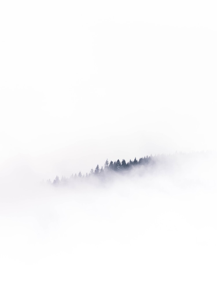 沂蒙山景区景点,沂蒙山旅游景点门票价格插图