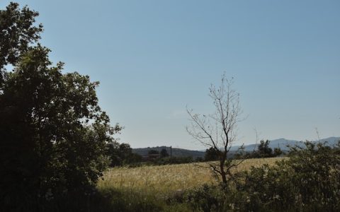 美国乡村旅游典型案例,美国乡村旅游产业振兴的案例