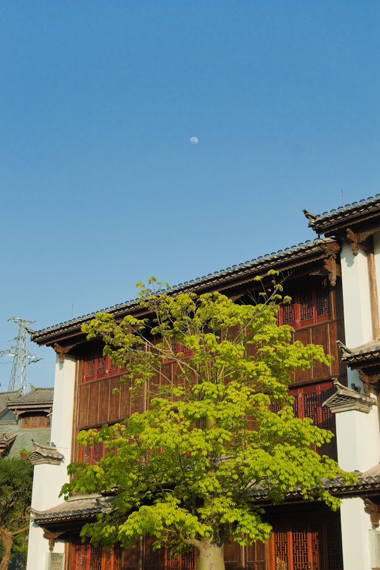 云南旅游报团,云南旅游学院插图2