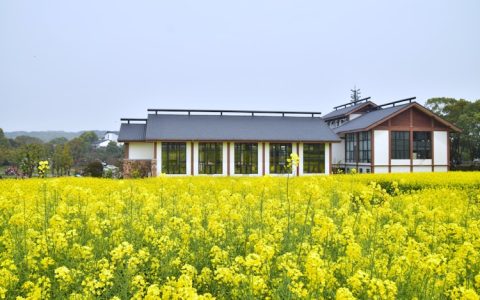 武汉农庄排名,武汉休闲农庄