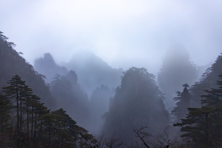 黄山旅游走势,黄山旅游指数插图2