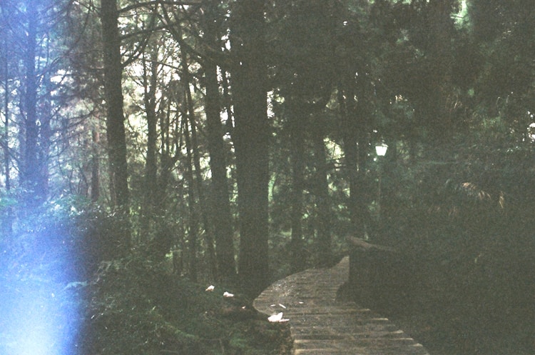 西川竹山旅游,西川竹山项目插图