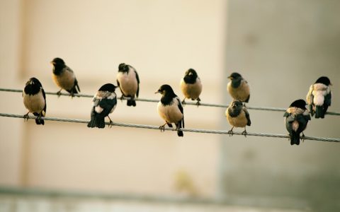 怀洪旅游干线还修不修,怀洪旅游干线2021年开建