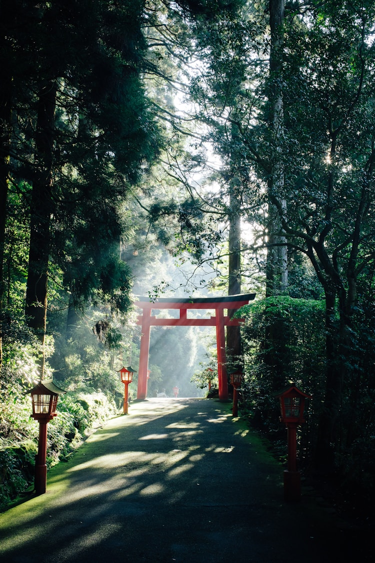 日本经典旅游路线,日本旅游详细路线推荐插图2