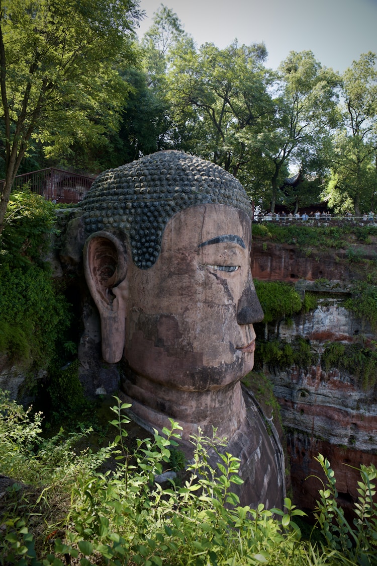 乐山旅游游记,四川乐山游记插图