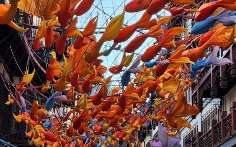 上海冬季旅游套装,上海冬季旅游攻略三日游