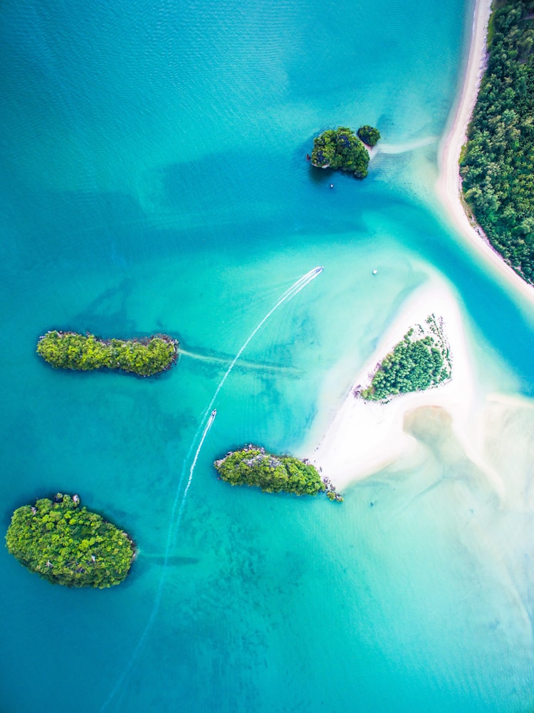 世界旅游大会,2020全球旅游插图