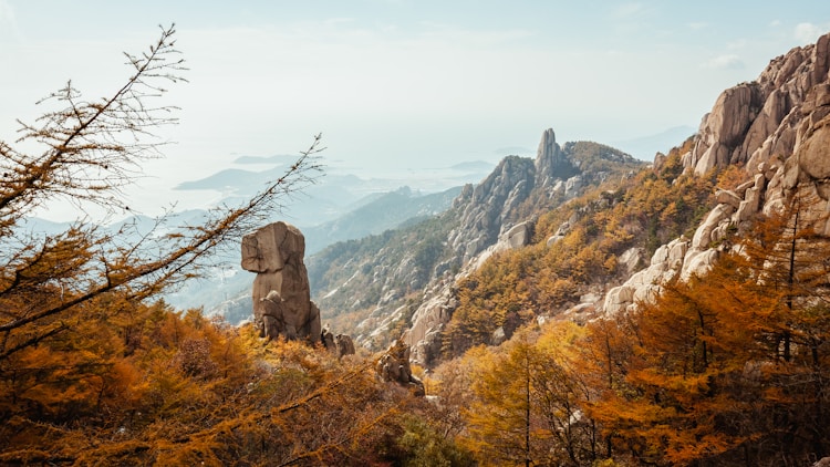 青岛同乐三路3号,青岛益同乐插图2