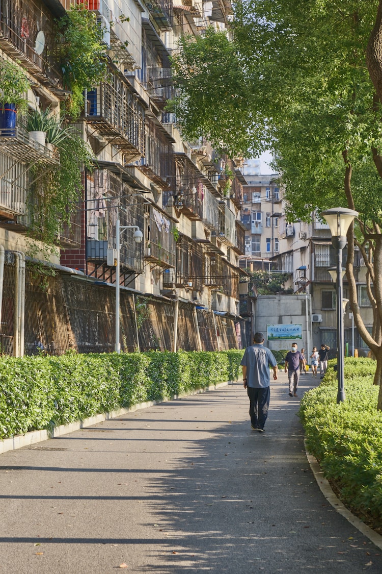 武汉国内旅游人数,武汉国内旅游景点推荐插图