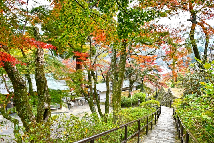 红河州旅游攻略必去景点,红河州旅游图插图