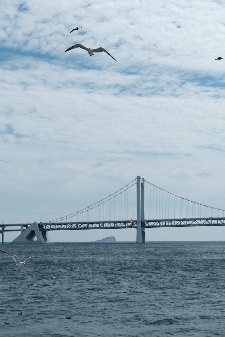 辽宁旅游漂流有哪些,辽宁漂流地方插图2