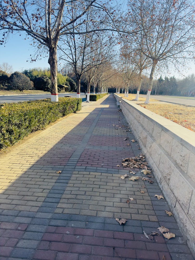 郑州旅游美食资源开发现状问题论文,郑州旅游美食有哪些插图
