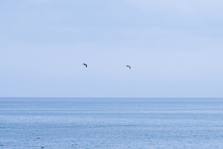 青海湖旅游路线示意图,青海湖旅游路线图手绘插图2