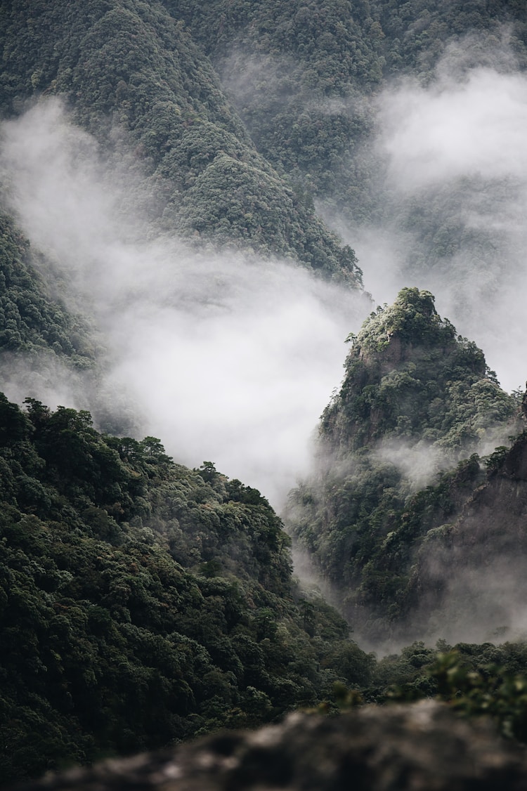 贵州旅游形象大使许瑞简历,贵州旅游形象大使名单历年插图