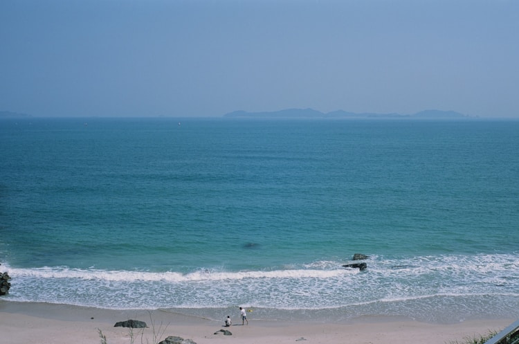 杨梅坑旅游攻略(超详细),杨梅坑一日自驾游攻略插图