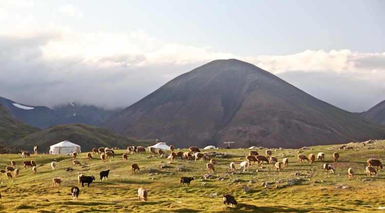 内蒙古 旅游 地图,内蒙古旅游地图高清版可缩放插图