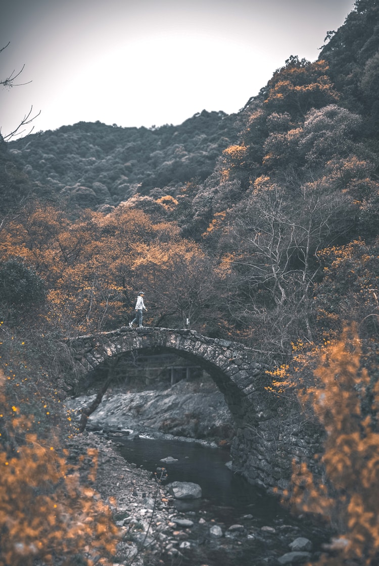 宁海旅游,宁海旅游地点插图