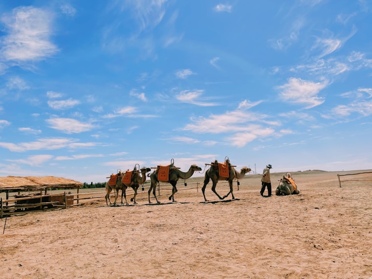 敦煌旅游5月,敦煌旅游月牙泉插图