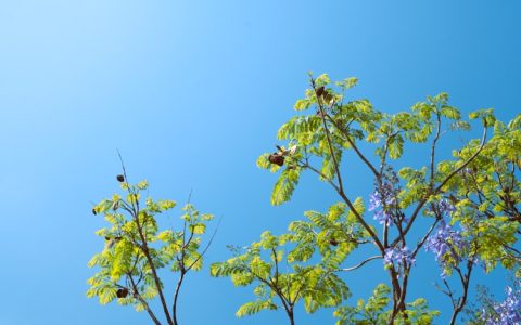 如何发布旅游信息文案,如何发布旅游信息给别人