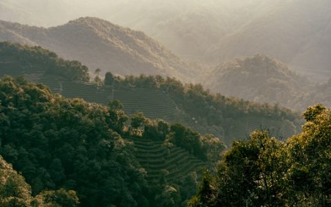 阳泉去杭州最佳线路,阳泉到杭州需要隔离吗