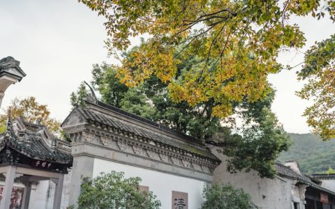 无锡市旅游局局长,无锡旅游局局长王洁平