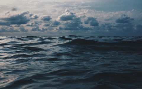 漳州市庄园御海,庄园御海楼盘