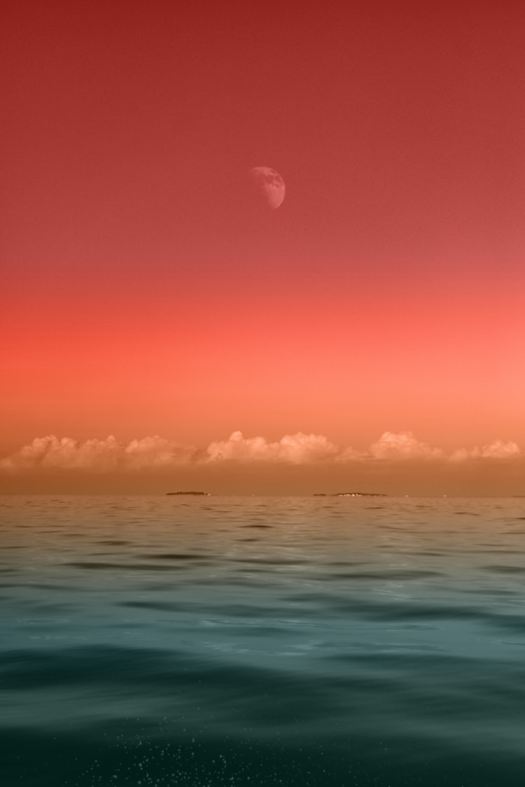 漳州市庄园御海,庄园御海楼盘插图2