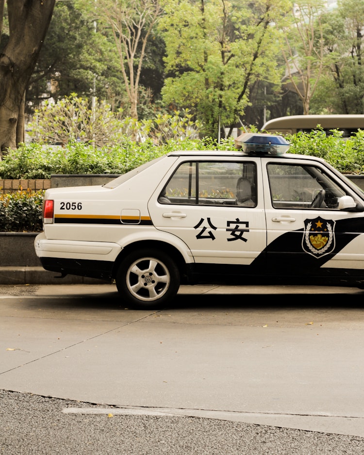 深圳二号线沿途景点,深圳2号线旅游景点插图2