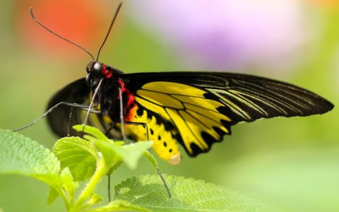 台湾九份十分旅游攻略,台湾旅游线路攻略