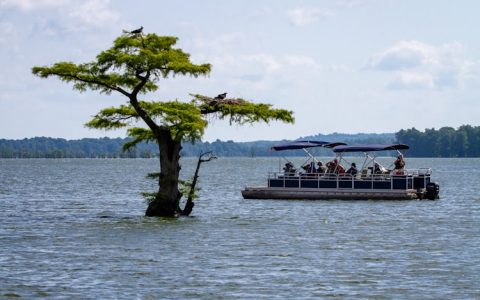 旅游带团需要准备什么材料,旅游带团需要什么资质