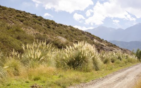 安第斯山脉旅游,安第斯山脉自然景观