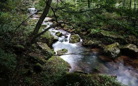 丹东二日游,丹东旅游两日游多少钱