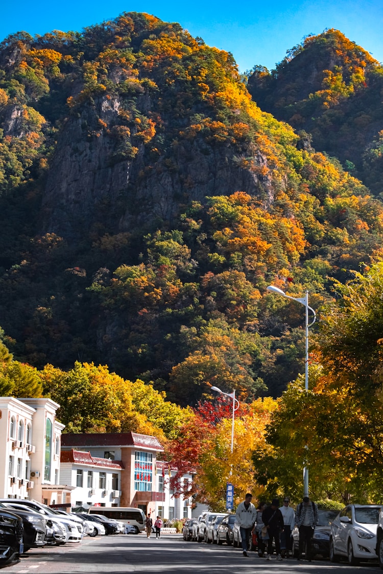 辽宁鲅鱼圈旅游景点门票价格,辽宁鲅鱼圈旅游景点排名插图2