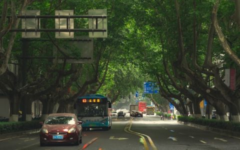 南京到庐山多少公里,南京到庐山旅游路线图