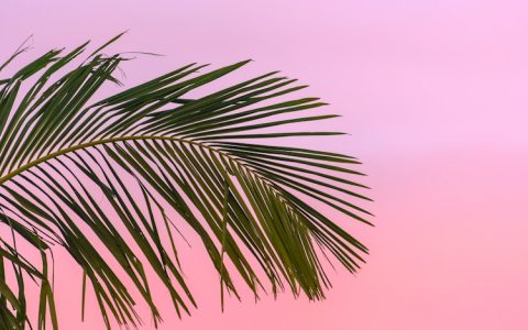 夏天旅游日记400字,夏天旅游日记怎么写