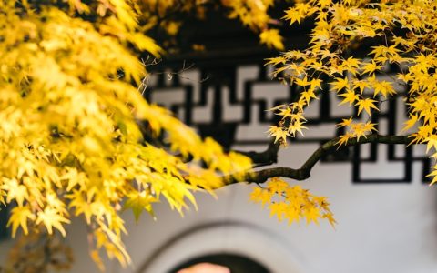 到无锡旅游应该到什么地方,去无锡旅游线路推荐