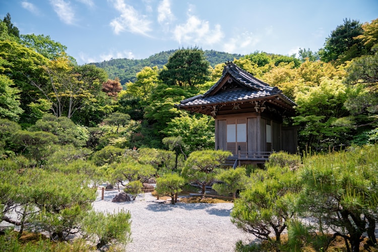 京都岚山公园在哪里,京都岚山小火车插图2