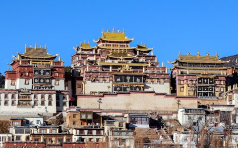 云南菜上海旅游,上海云南菜排行