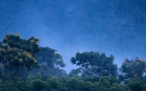 阜阳到黄山旅游团,阜阳到黄山自驾游