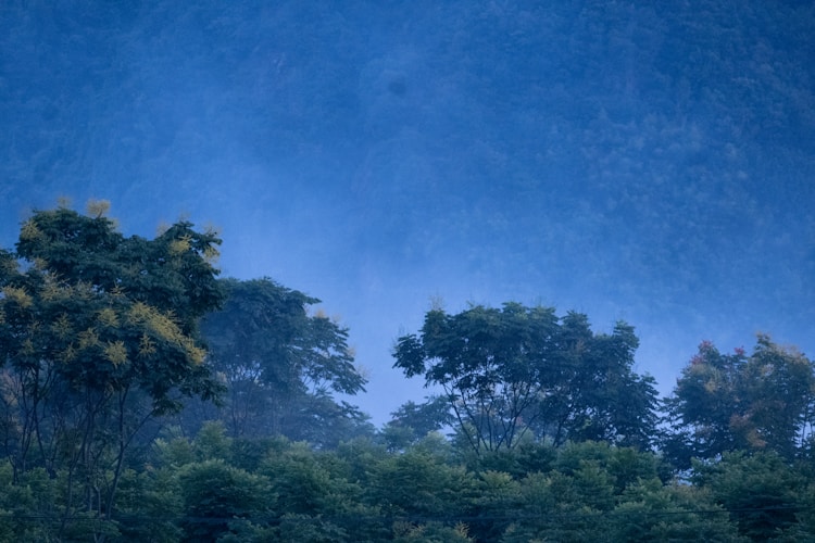 阜阳到黄山旅游团,阜阳到黄山自驾游插图